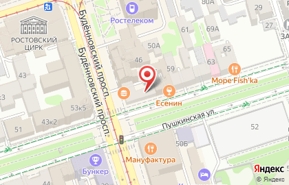 Шампунь на Пушкинской улице на карте