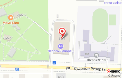 Ледовый дворец в Воронеже на карте