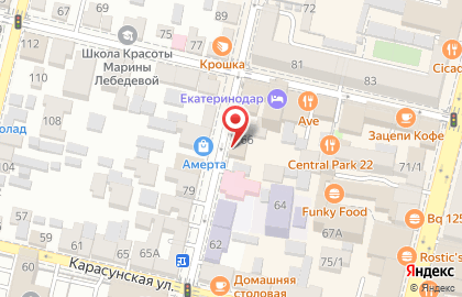 Туристическая компания Тур Делис на Рашпилевской улице на карте