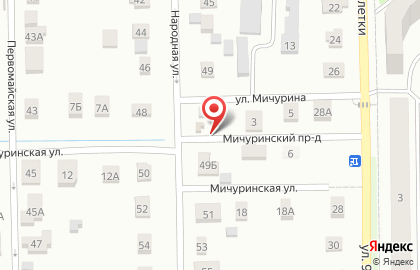 Народный на улице Мичурина на карте