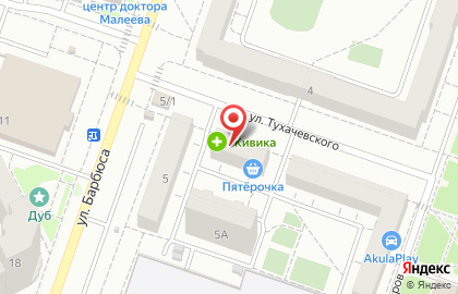 Магазин Стрекоза на улице Тухачевского на карте
