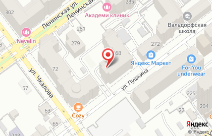 Студия воздушных шаров Солнечный ветер на улице Пушкина на карте