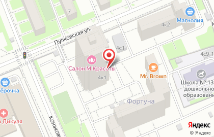 Домашний английский детский сад Smile Fish на Пулковской улице на карте