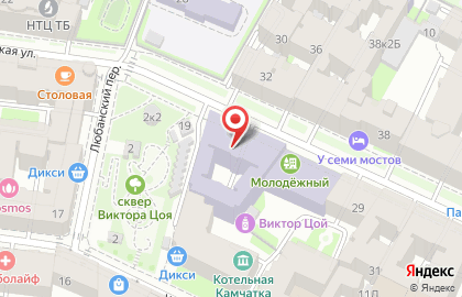 Санкт-Петербургский экономический профессиональный лицей на Зверинской улице на карте