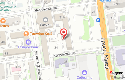 Чайхана Фьюжн на карте