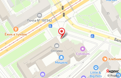 Банкомат Русский Стандарт на метро Чёрная речка на карте