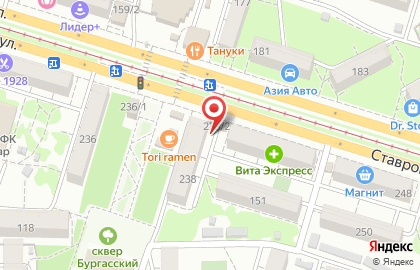 Цветочная лавка на ​Ставропольской улице, 238/2 на карте