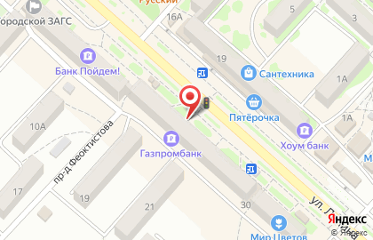 Мигомденьги на улице Ленина на карте