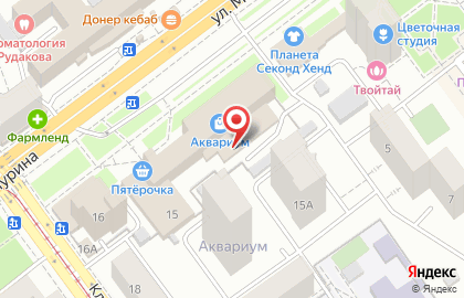 OneTwoRent на улице Мичурина на карте