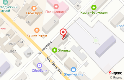 Аптека Живика на Ленина на карте