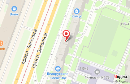 Зоомагазин PetShop.ru в Выборгском районе на карте