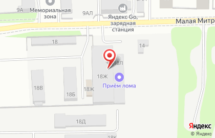 Торговая фирма Диля на Митрофаньевском шоссе на карте