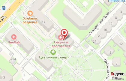 Медицинский центр Секреты долголетия в Великом Новгороде на карте