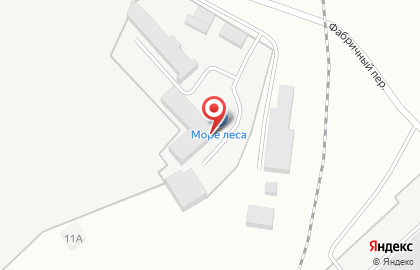 Море леса на карте