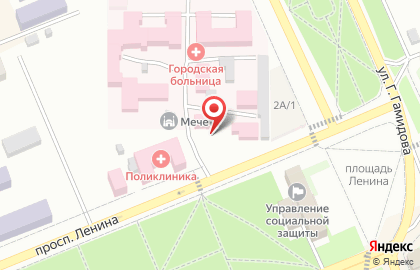 Мини-маркет Фламинго на проспекте Ленина на карте
