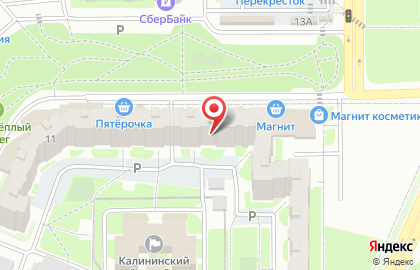 Ветеринарный центр и магазин зоотоваров Ветленд в Калининском районе на карте