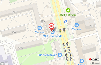 Магазин зоотоваров на улице Гагарина на карте