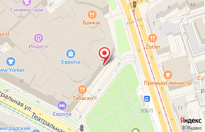 Аптека Ирбис на Театральной улице на карте