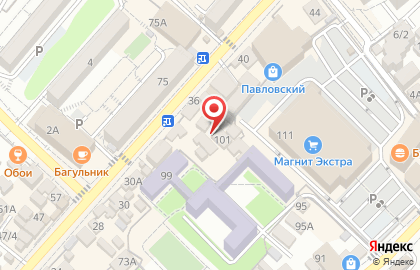 Магнит в переулке Павлова на карте