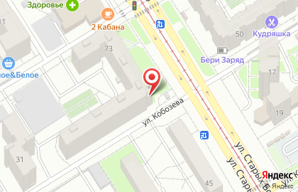 Магазин Всё для ваших питомцев на улице Старых Большевиков на карте