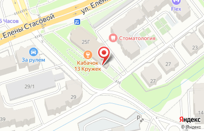 Ломбард Кошелёк на улице Елены Стасовой на карте