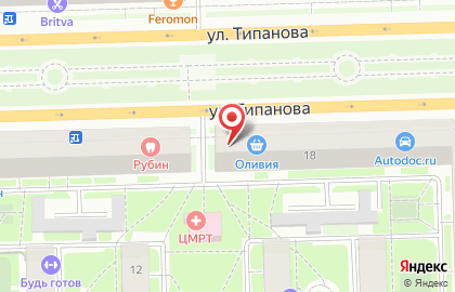 Мастерская художественных памятников Да Винчи на улице Типанова на карте