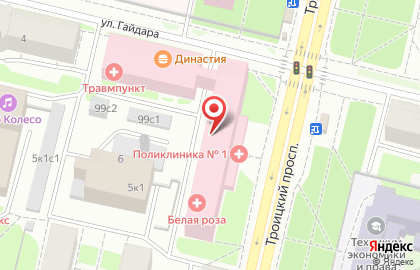 Травмпункт Городская поликлиника №1 на Троицком проспекте на карте