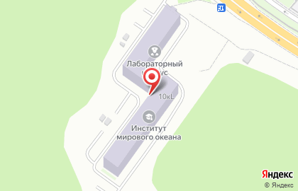 Дальневосточный федеральный университет во Владивостоке на карте