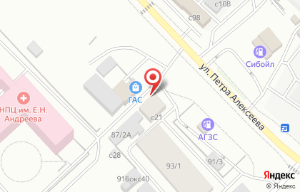 Центр подбора автоэмалей и аэрографии, ИП Егоров П.А. на улице Петра Алексеева на карте