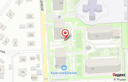 Яблони на улице Любы Шевцовой на карте