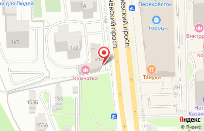Ветеринарная аптека Дикси на Лихачёвском шоссе на карте