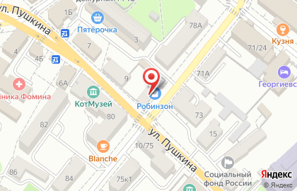 Садовый центр Шамординка на улице Плеханова на карте