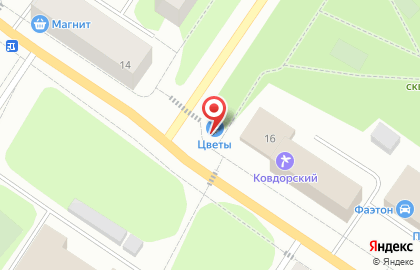 Сеть цветочныйх магазинов Эдельвейс в Мурманске на карте