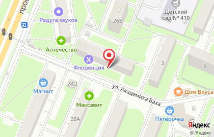 Аркис на проспекте Ленина на карте