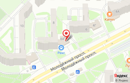 Чибис на Молодёжном проспекте на карте