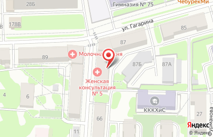 Olesyamanik на карте