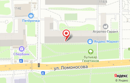 Служба заказа товаров аптечного ассортимента Аптека.ру на улице Ломоносова на карте