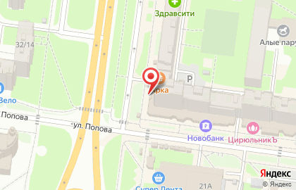 Аптека Калина Фарм на улице Попова на карте