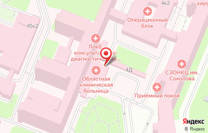 Ленинградская областная клиническая больница на проспекте Луначарского на карте