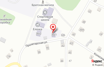 Елочка, с. Шебалино на Пролетарской улице на карте