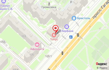 Медицинский центр Тонус на проспекте Гагарина на карте