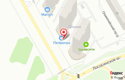 Супермаркет Пятёрочка на Лососинском шоссе на карте