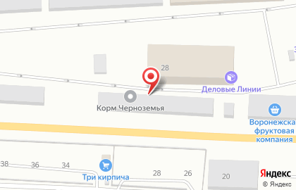 Русский Мед Воронеж на карте