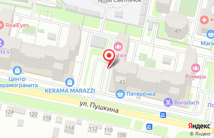 Ветеринарная клиника На Пушкина на карте