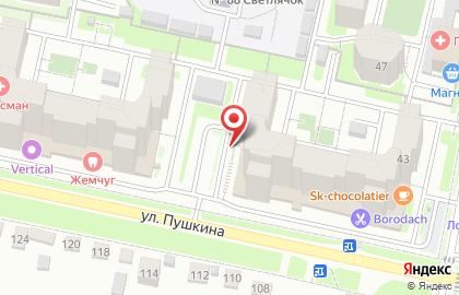 Ветеринарная клиника На Пушкина на карте