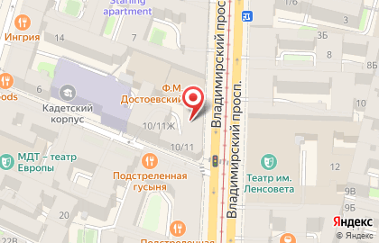 Ecco на Владимирском проспекте на карте
