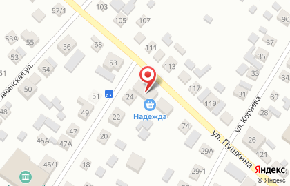 Магазин продуктов питания Надежда на улице Пушкина на карте