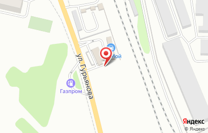 Шиномонтажная мастерская на улице Гурьянова на карте