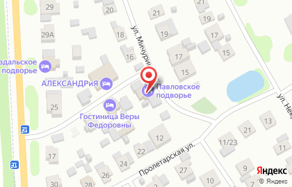 Анастасия на улице Мичурина на карте