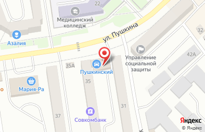 Автомаг Пушкинский на карте